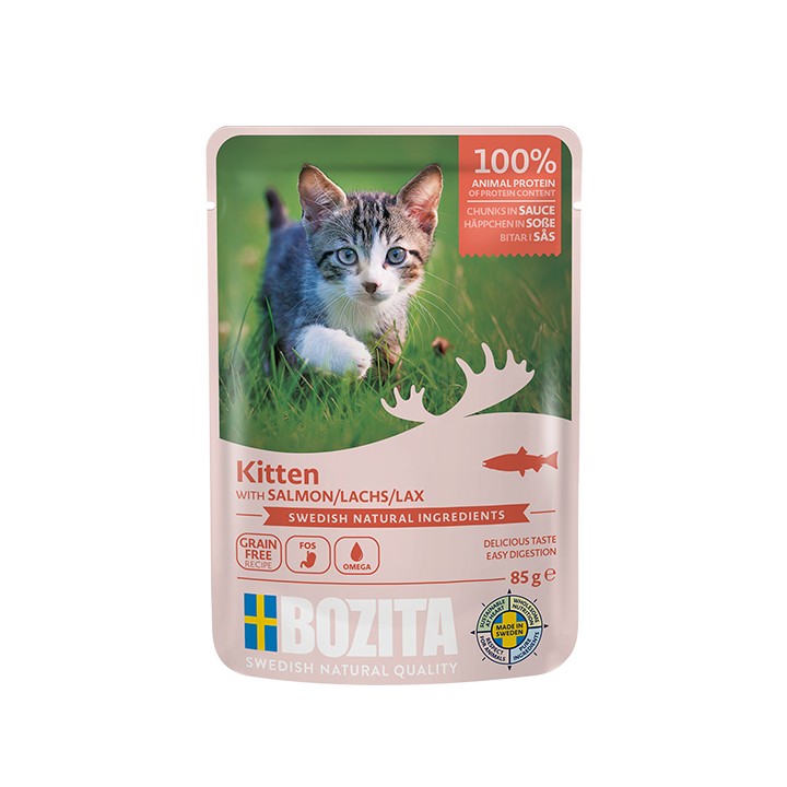 Kitten Kawałki W Sosie Z Łososiem