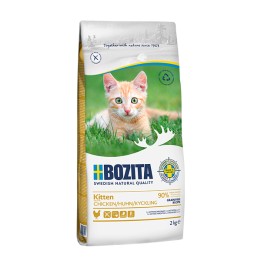 Kitten Kurczak