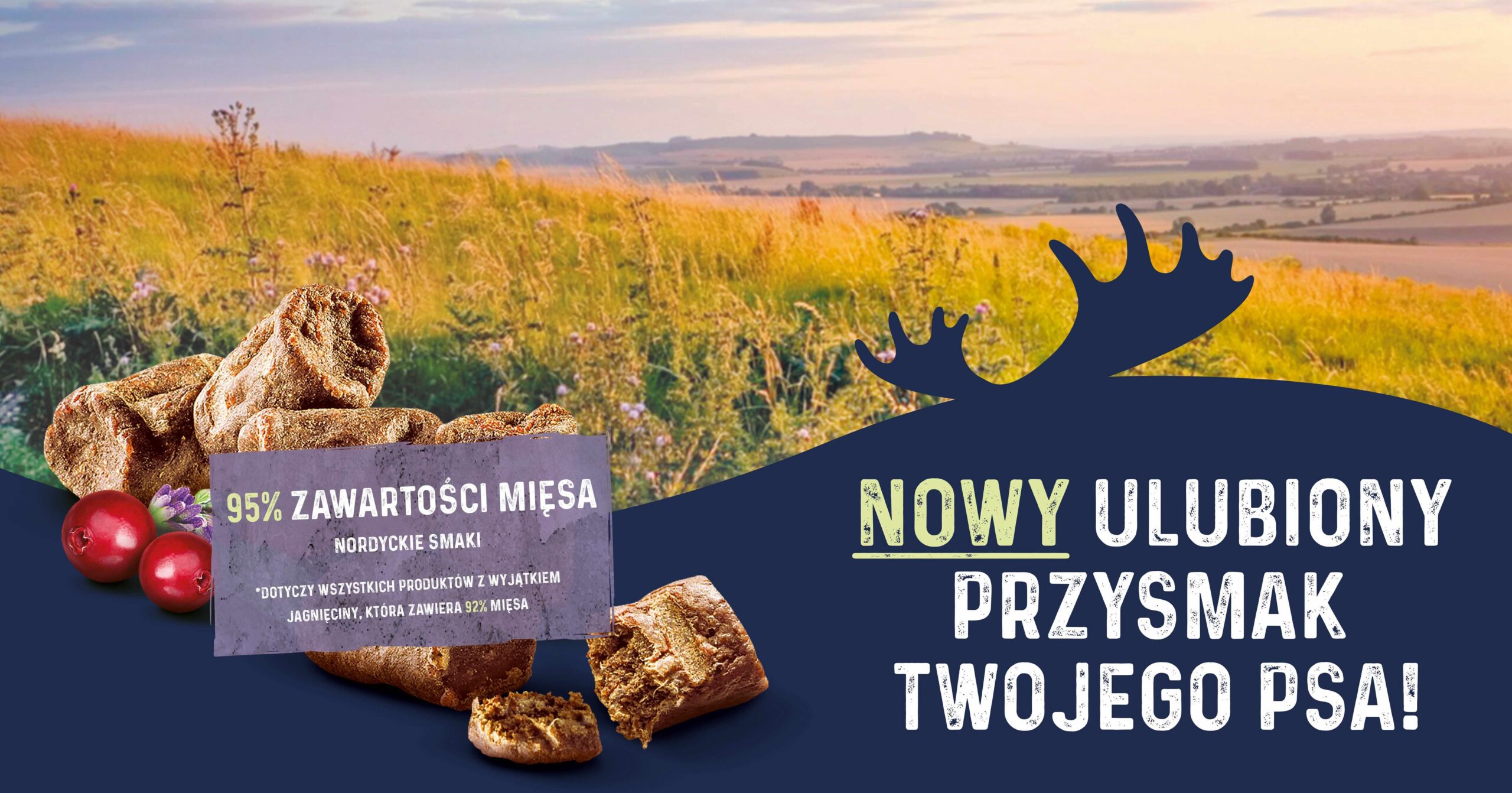 bozita-banner