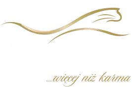 Dolina Noteci